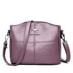 Bolso Aisus